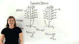 How Do You Identify Exponential Behavior from a Pattern in the Data?