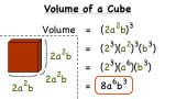 How Do You Solve a Word Problem by Taking a Monomial to a Power?