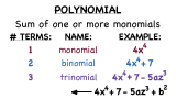 What is a Polynomial?