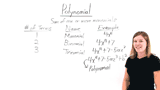What is a Polynomial?