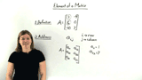 What Is an Element of a Matrix?