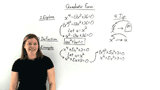 What is Quadratic Form of a Polynomial Equation?