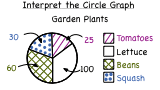 How Do You Interpret a Circle Graph?