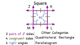 What is a Square?