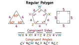 What is a Regular Polygon?