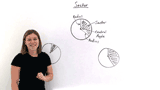 What is a Sector and Central Angle?