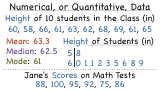 What is Numerical, or Quantitative, Data?